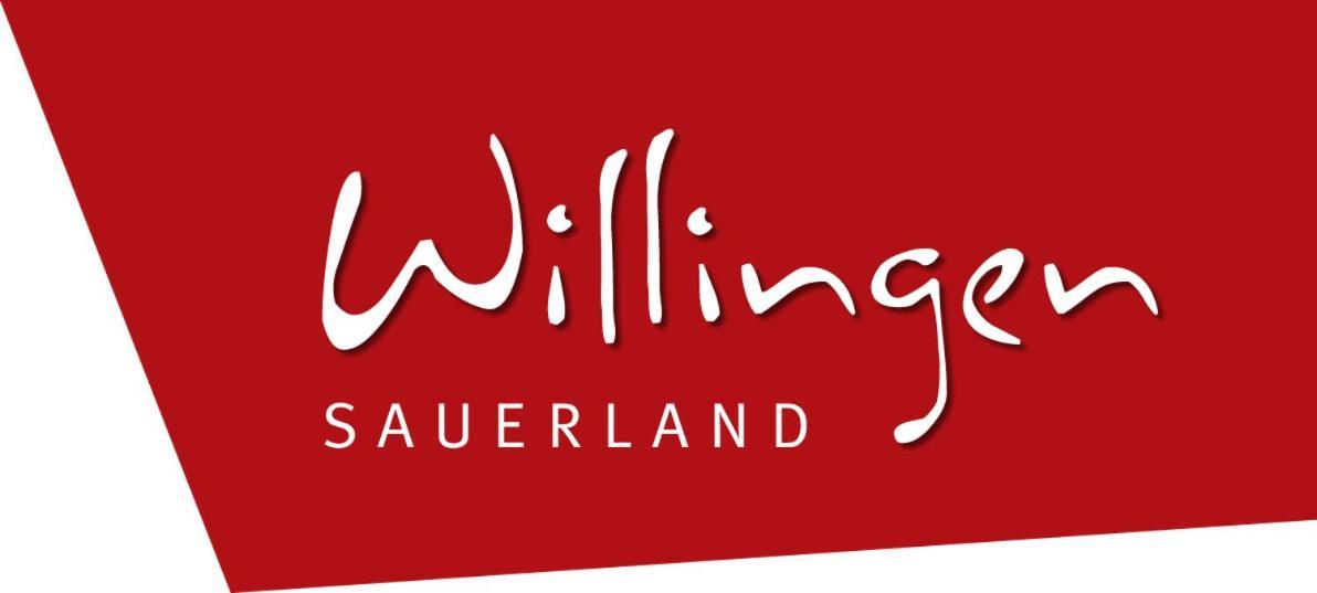 friends&family Domizil Willingen Lejlighed Willingen  Eksteriør billede