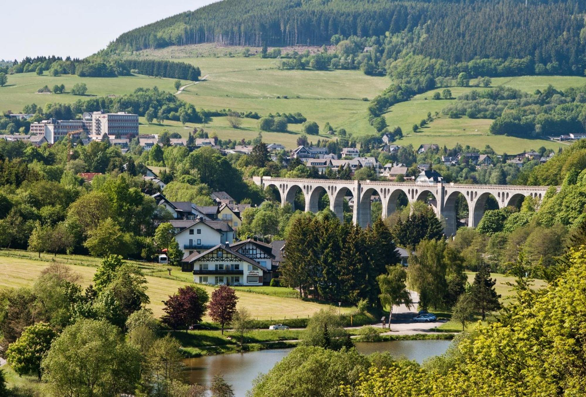 friends&family Domizil Willingen Lejlighed Willingen  Eksteriør billede